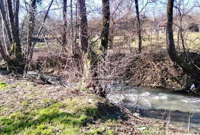 Casă cu 2 camere cu Teren 2000 Mp în Laz - 14