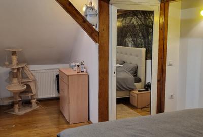 Iancului , Vatra Luminoasa - 19