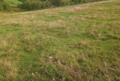 Spațiu comercial, în Măguri - 8