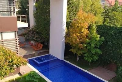 Vila pentru inchiriere Herastrau - 9