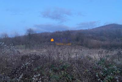 Teren intravilan 4836 mp Mehadia cu Fs la E70 - 6