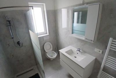 Casă cu 3 camere în Paltin - 2