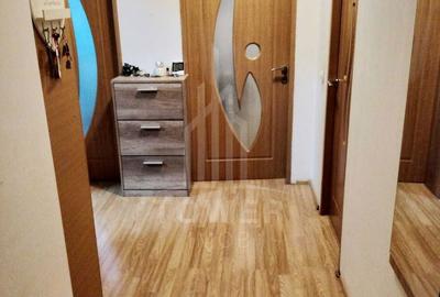 Apartament cu 2 camere decomandat, mobilat în Turnișor