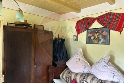 Teren intravilan 4.779 mp + casa si anexe - Girov, Neamt - 16