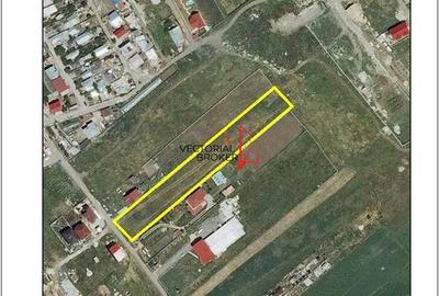 Teren intravilan 5000 mp, strada asfaltata, toate utilitatile, str. Celofibrei Teren intravilan 5000 mp, strada asfaltata, toate utilitatile, str. Celofibrei - 2