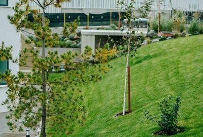 Apartament cu 4 camere în Universității - 11