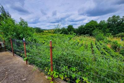 Casă de vânzare - Jud. Bacău (Com. Orbeni) - Curte și grădină(30Km/Bc) - 7