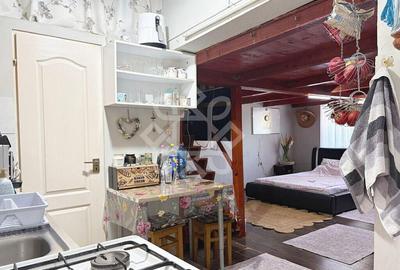 Apartament ultracentral in Piata Ferdinand - 6