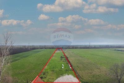 Teren intravilan de vanzare/ Codlea | 10.000mp/industrial - 4