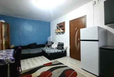 Apartament cu 3 camere semidecomandat, mobilat în Miorița - 9