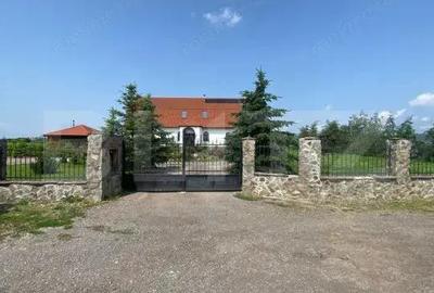 Casă cu 7 camere cu Teren 3000 Mp în Central - 4