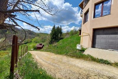 Casa imbratisata de padure - Valea Ursului, Bascov - 19