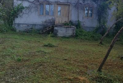 Casă cu 5 camere cu Teren 3 Mp în Hălmagiu - 1