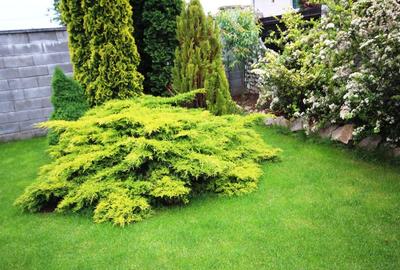 Casa individuala, ideala pentru o familie - 3