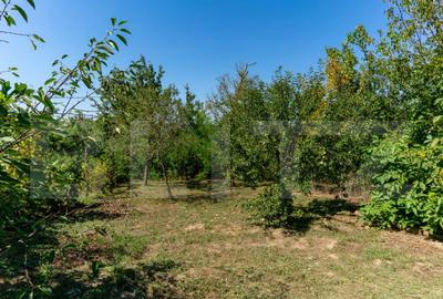 Casa de vanzare in Rovina(Branisca) - 13