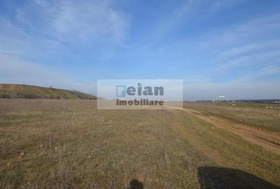 Pipera - Lidl Racovita -  Teren 6000 Mp, 38 Ml Deschidere 38 Ml - 11