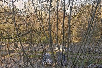 Apartament cu 3 camere semidecomandat în Micălaca - 14