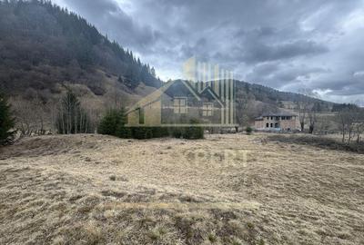 TEREN INTRAVILAN 500 MP SATIC- RUCAR - 12