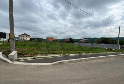 RECO teren de in zona Betfia - 5