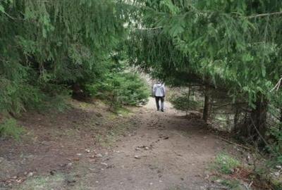 Teren de 15841 mp, în Muntele Rece