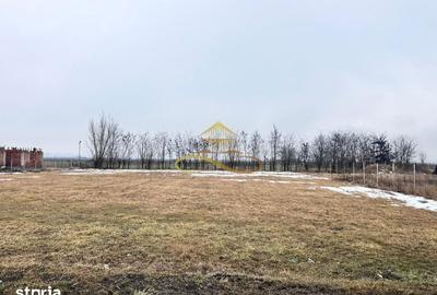 Teren de 900 mp, în Săucești - 7