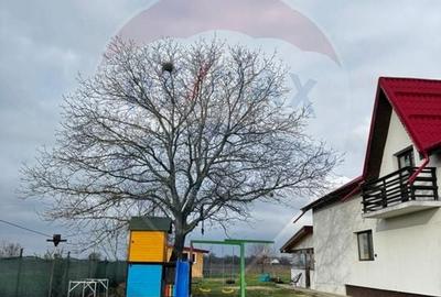 Vila cu 7 camere de vanzare+teren 2200 mp, Darza-Crevedia - 35