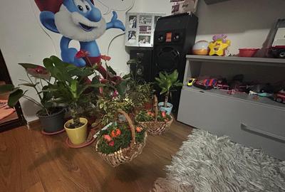 Casă individuală Domnești | Parter + Mansardă | Teren 550 mp - 23