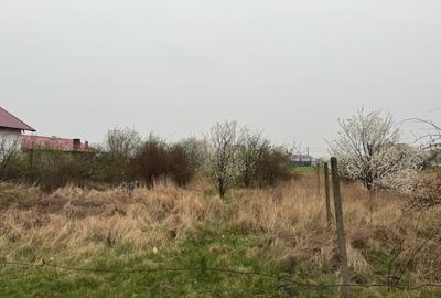 Teren de vanzare, 1024 mp, Mandresti-Munteni - 1