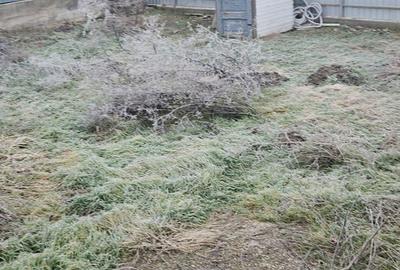 Casă cu 2 camere cu Teren 250 Mp în Târgu Neamț - 6