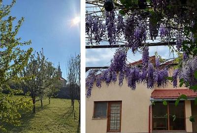 Casă cu 2 camere cu Teren 2878 Mp în Coșteiu - 10