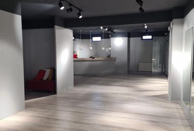 Spatiu comercial Showroom Otopeni DN 1 stradal - 1