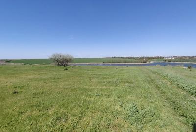 Teren agricol extravilan de 40000 mp, în Central - 5