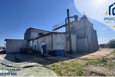 Spațiu comercial, de 2,500 mp, în Semlac - 11