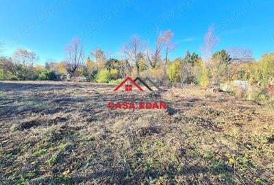 Teren intravilan in Cornu 3171 mp--89.000e - 2