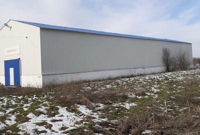 Hala industriala Frumusani - Buciumeni - 5