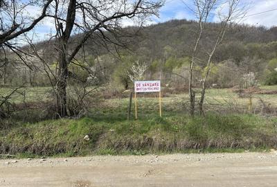 Spațiu comercial, în Eșelnița - 5