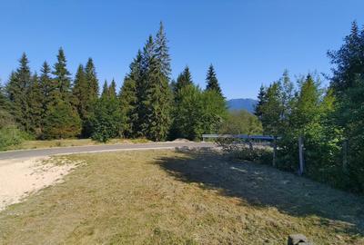 Teren Construcții intravilan de 500 mp, în Cioplea - 7