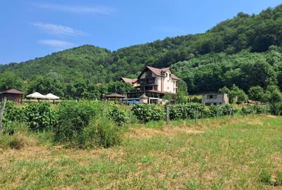 TEREN INTRAVILAN POLOVRAGI - 7