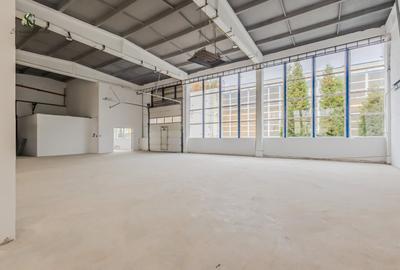 Hala indrustriala recent renovata - 2