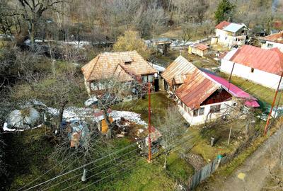 Teren Construcții de 3948 mp, în Provița de Sus - 20