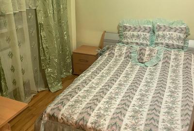 Apartament cu 2 camere semidecomandat, mobilat în Podu Roș - 2