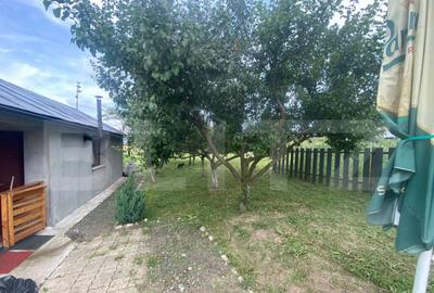 Teren extravilan 10 ari cu Cabana de 45 mp - 2