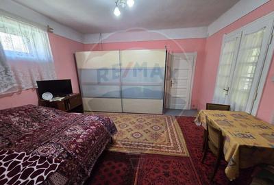 Casa de vanzare in Tinca - 15