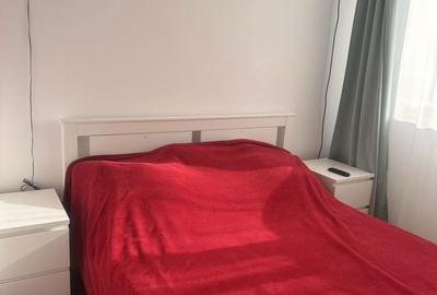 Apartament cu 3 camere semidecomandat în Valea Ialomiței - 7