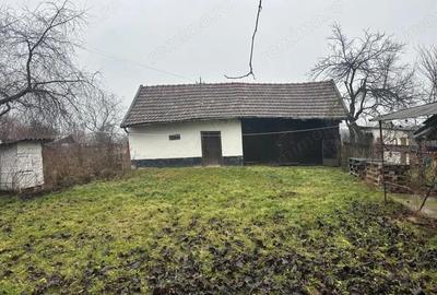 Casă cu 3 camere cu Teren 4191 Mp în Cig - 12