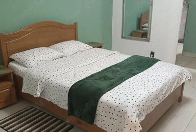 Garsonieră decomandată în Independenței - 4