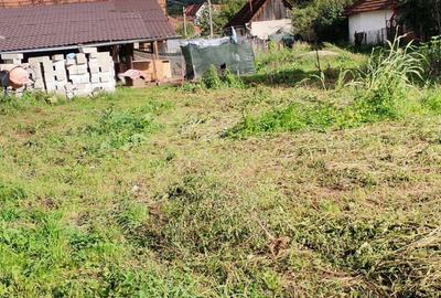 Casă cu 5 camere cu Teren 6800 Mp în Hărțăgani - 9