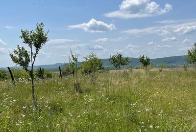 Teren în Urleta - 10