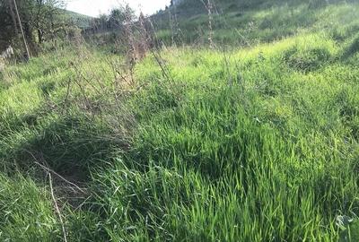Teren de 2000 mp, în Sântejude - 1