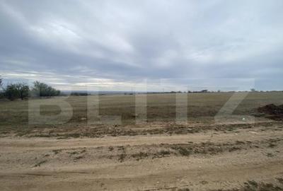 Teren de 15000 mp, în Central - 3